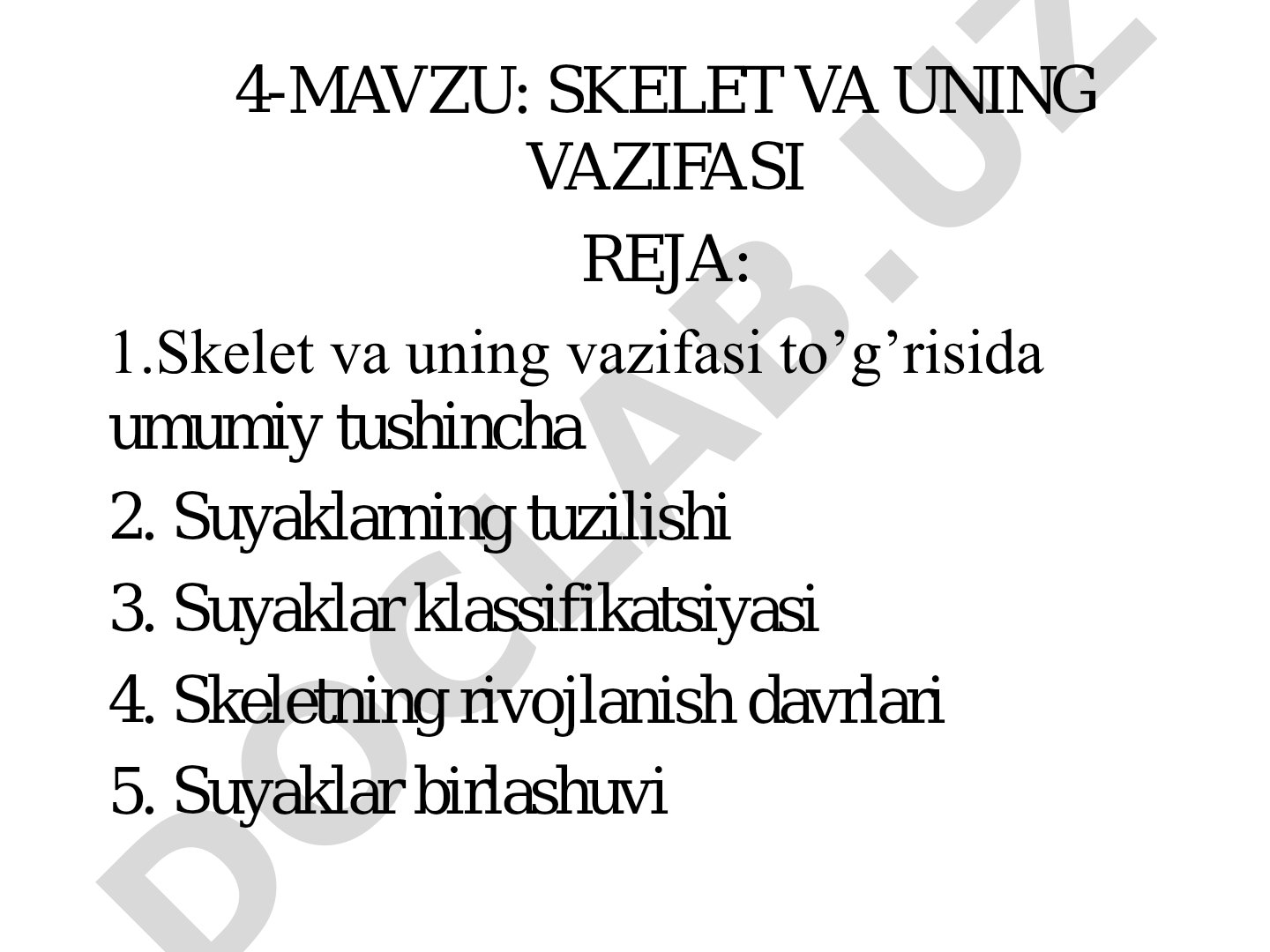 Skelet va uning vazifasi