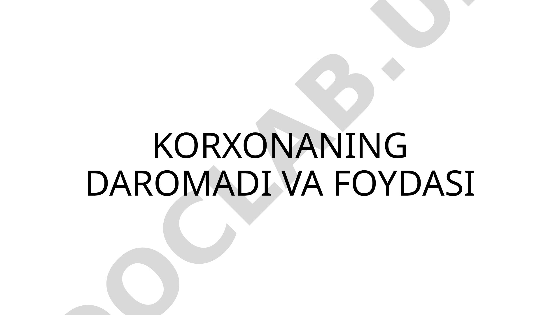 Korxonaning daromadi va foydasi
