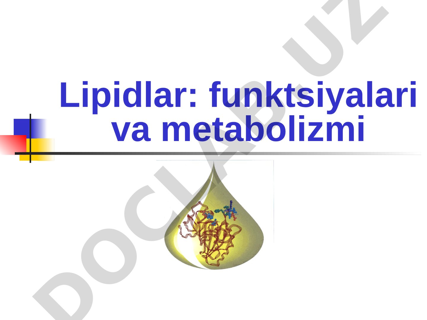 Lipidlar: funktsiyalari va metabolizmi