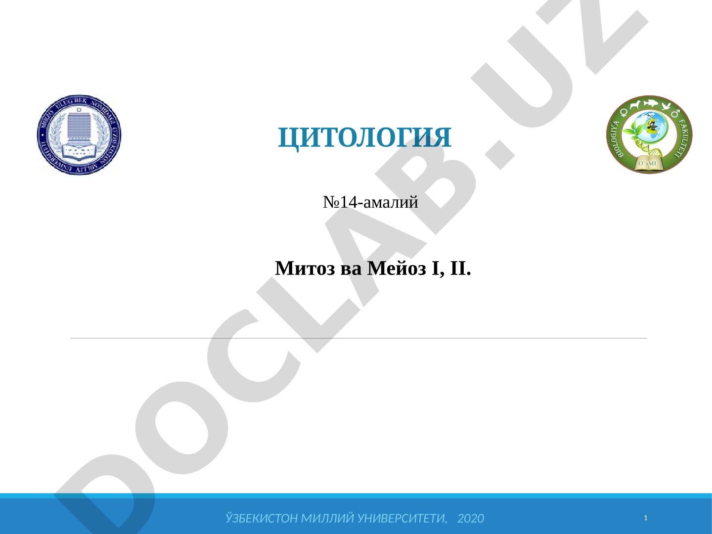 Mitoz va meyoz