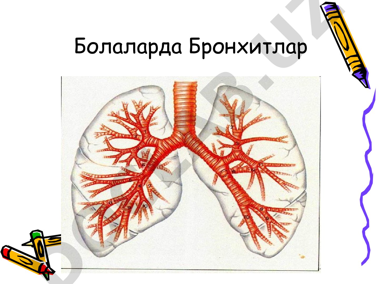 Болаларда бронхитлар