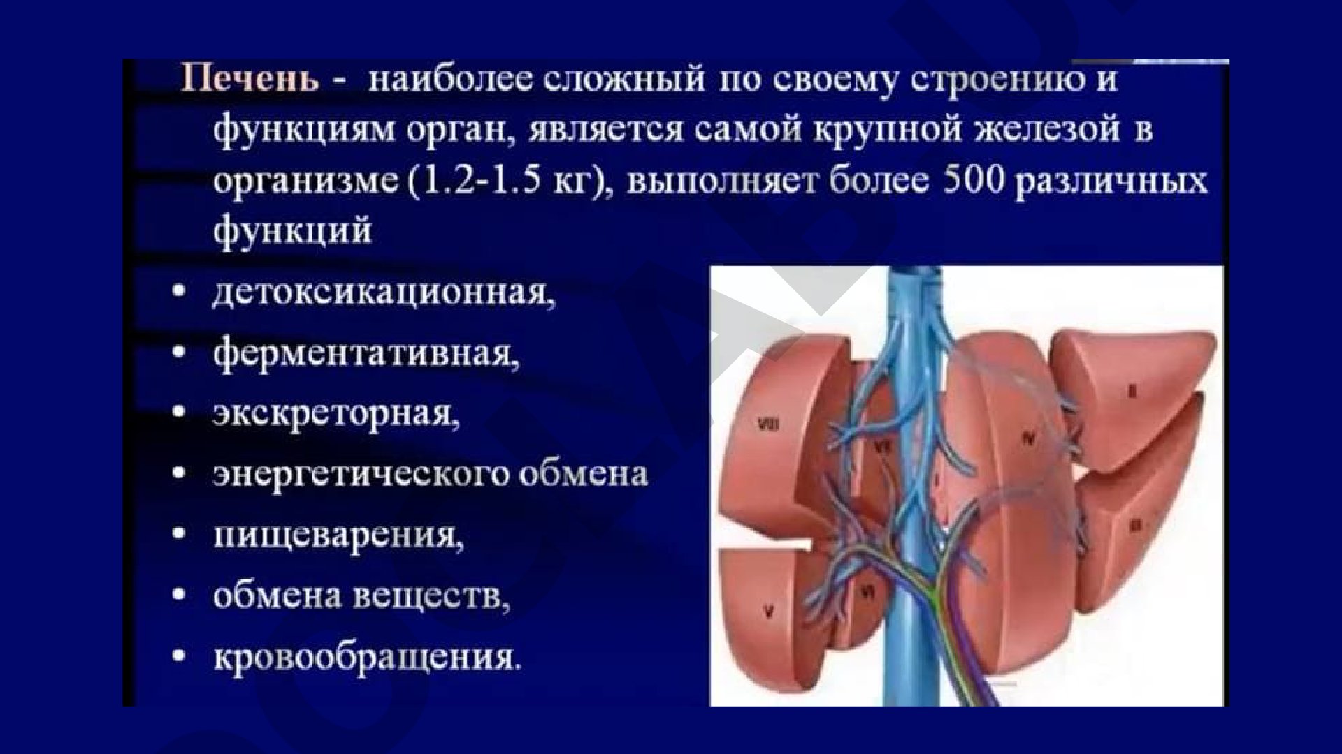 Методы лучевой диагностики желчевыводящих путей