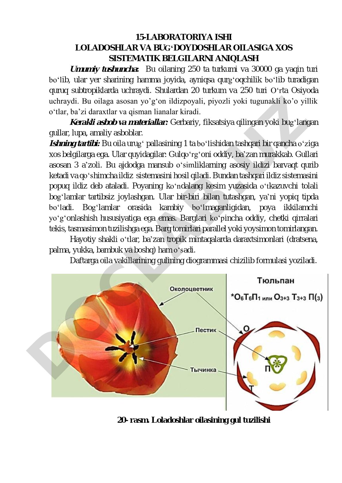 Loladoshlar va bug'doydoshlar oilasiga xos sistematik belgilarni aniqlash