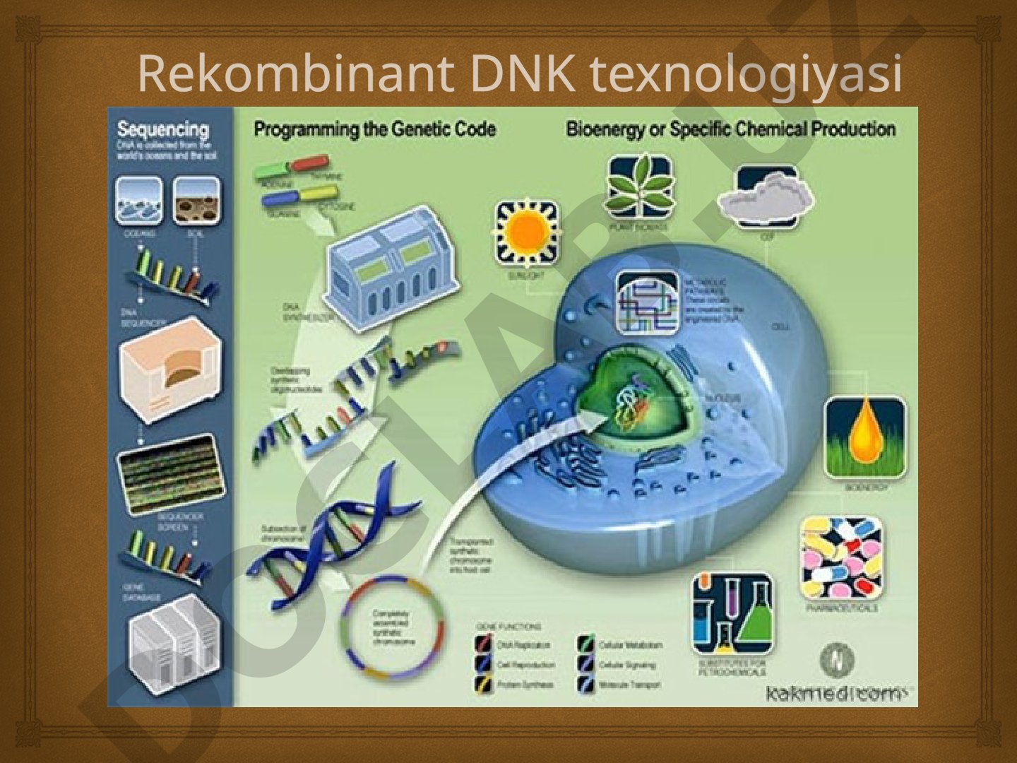 Rekombinant DNK texnologiyasi