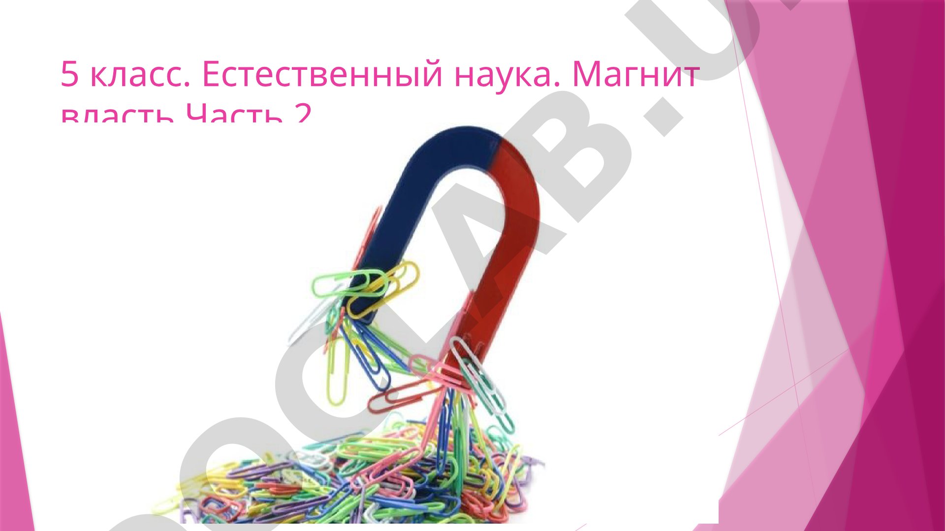 Магнитная сила и её применение