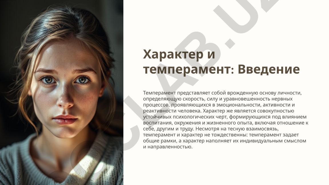 Характер и темперамент: основные понятия и взаимосвязь