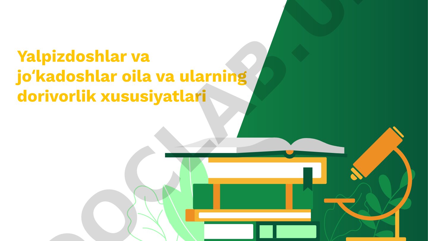 Yalpizdoshlar va joʻkadoshlar oila va ularning dorivorlik xususiyatlari