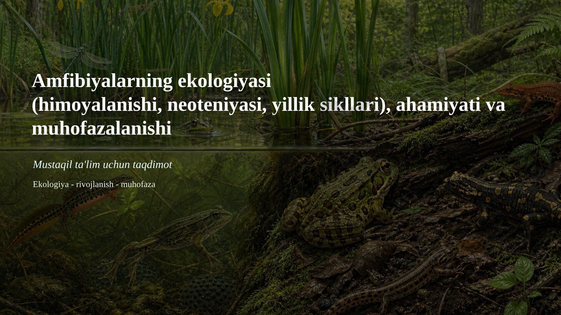 Amfibiyalarning ekologiyasi (himoyalanishi, neoteniyasi, yillik sikllari), ahamiyati va muhofazalanishi