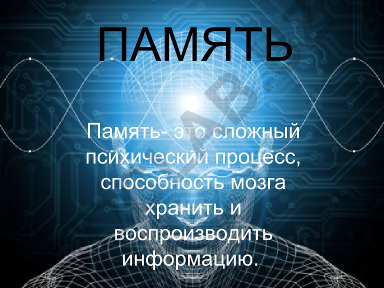 Память как психический процесс: основные процессы и классификация