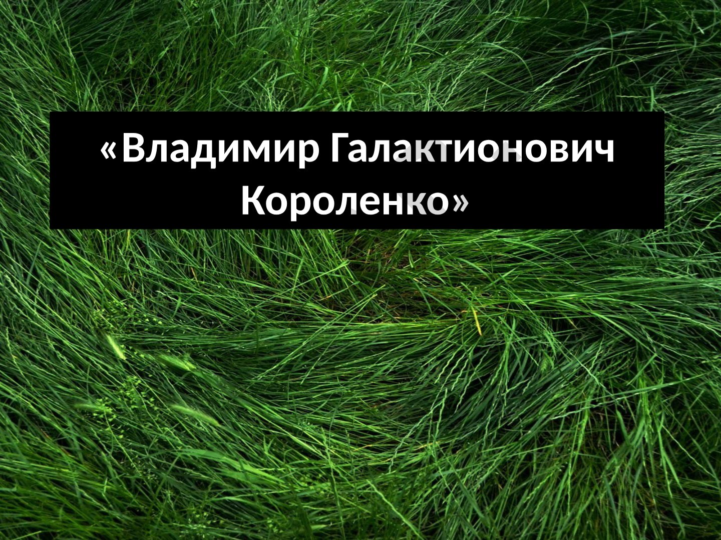 Владимир Галактионович Короленко