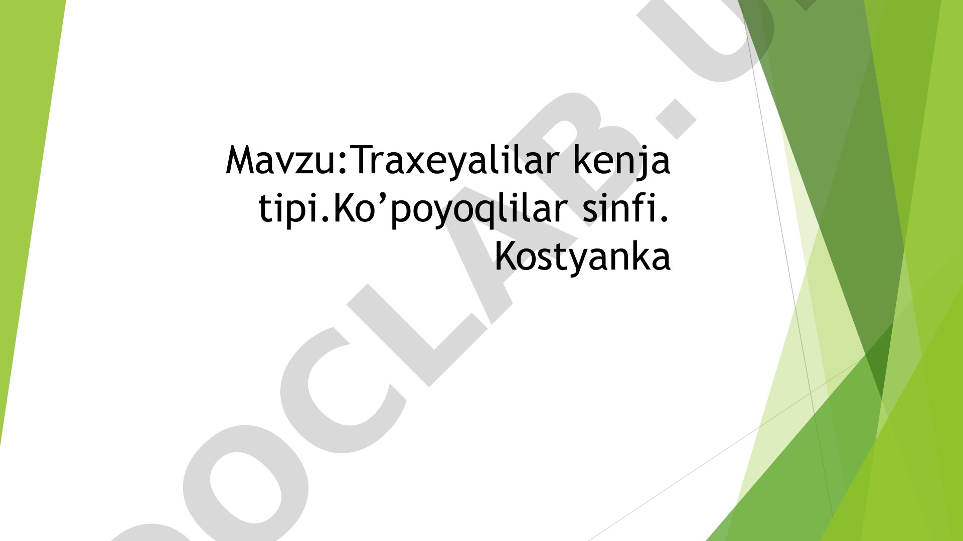 Traxeyalilar kenja tipi.Ko’poyoqlilar sinfi. Kostyanka Reja