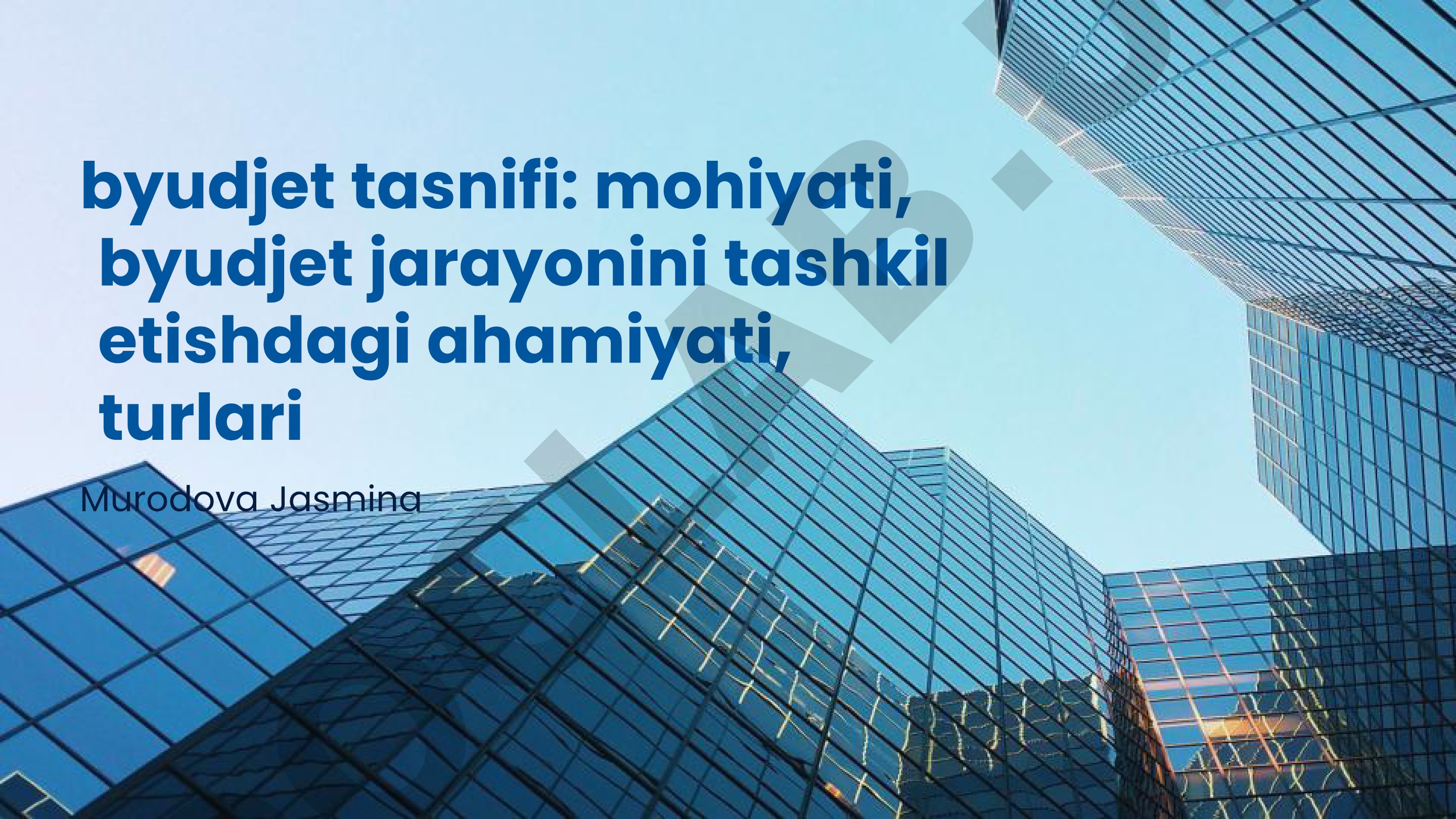 Byudjet tasnifi: mohiyati, ahamiyati va turlari