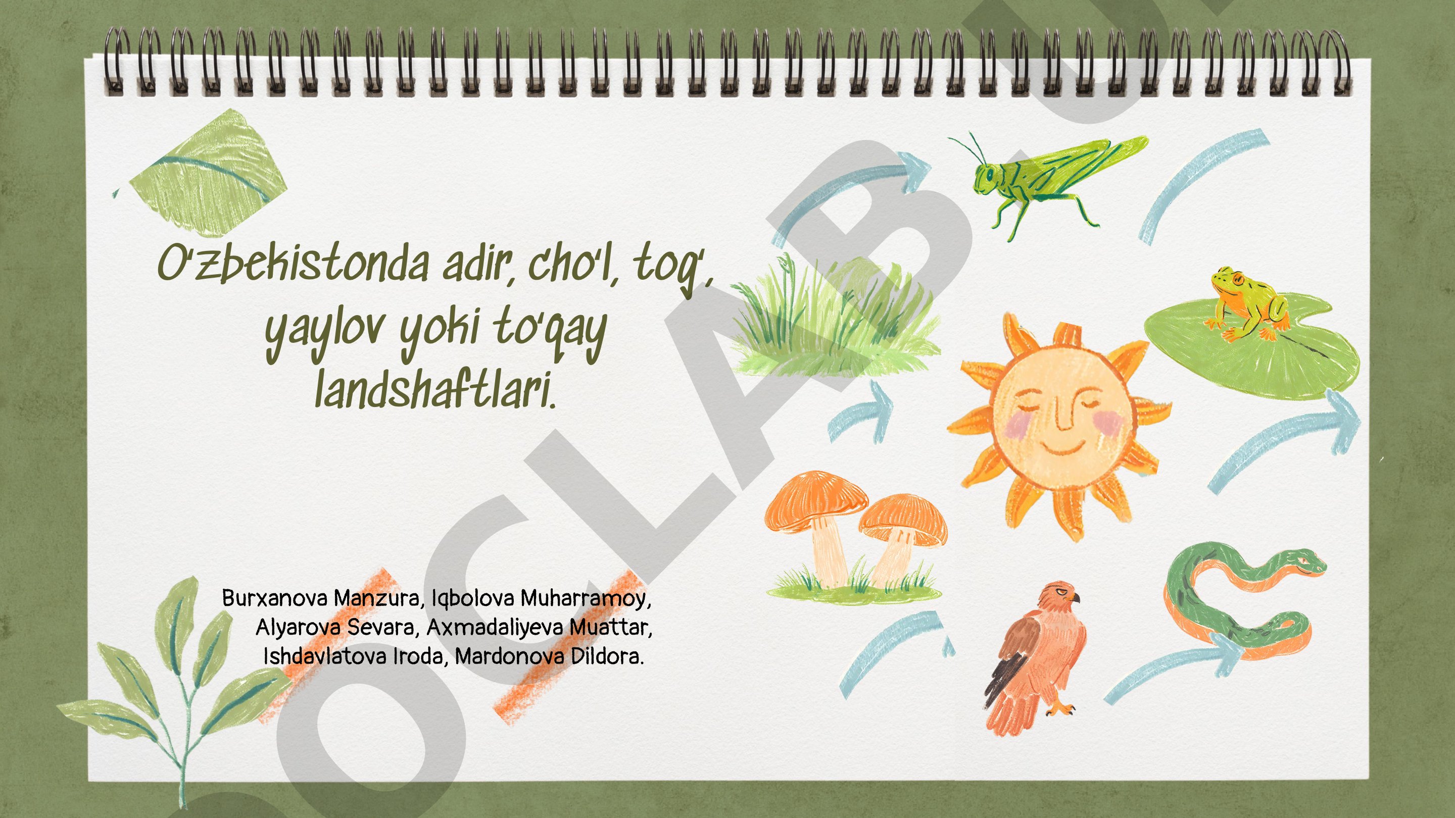 O'zbekistonda adir, cho'l, tog', yaylov va to'qay landshaftlari go'zalligi
