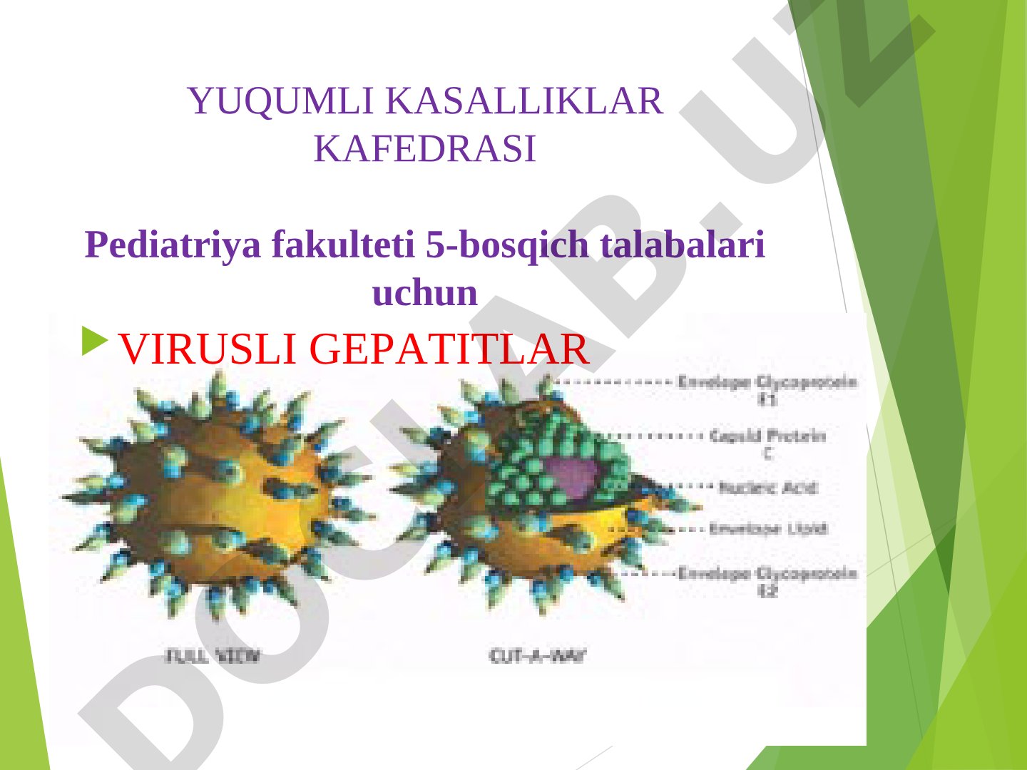Virusli gepatitlar: etiologiyasi va markerlari