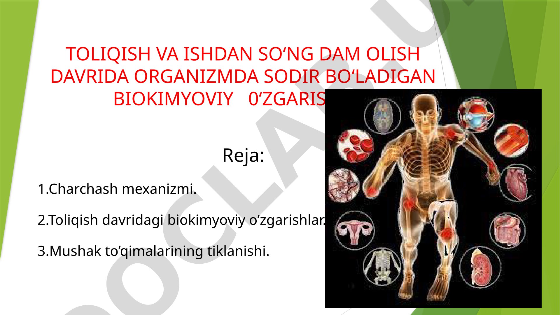 Toliqish va ishdan so‘ng dam olish davrida organizmda sodir bo‘ladigan biokimyoviy o‘zgarishlar