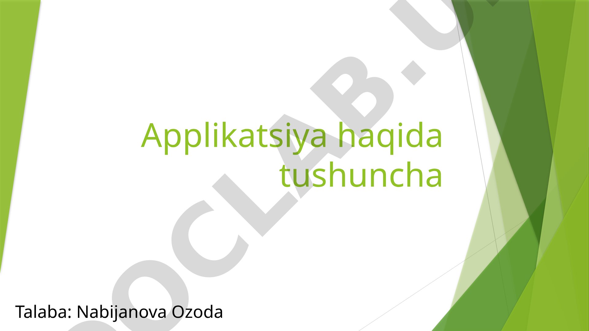 Applikatsiya haqida tushuncha va uning turlari