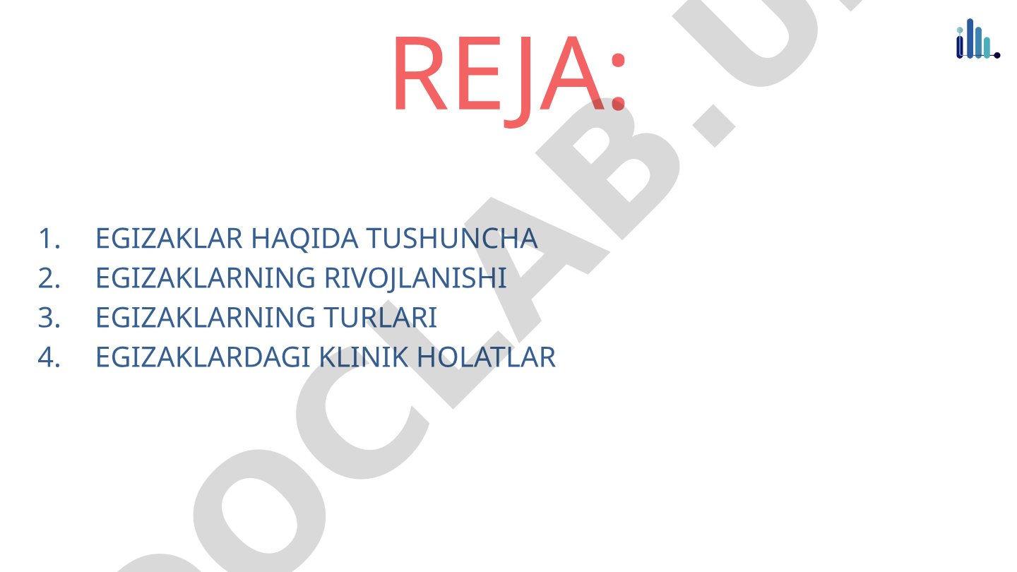 Egizaklar haqida tushuncha va ularning turlari