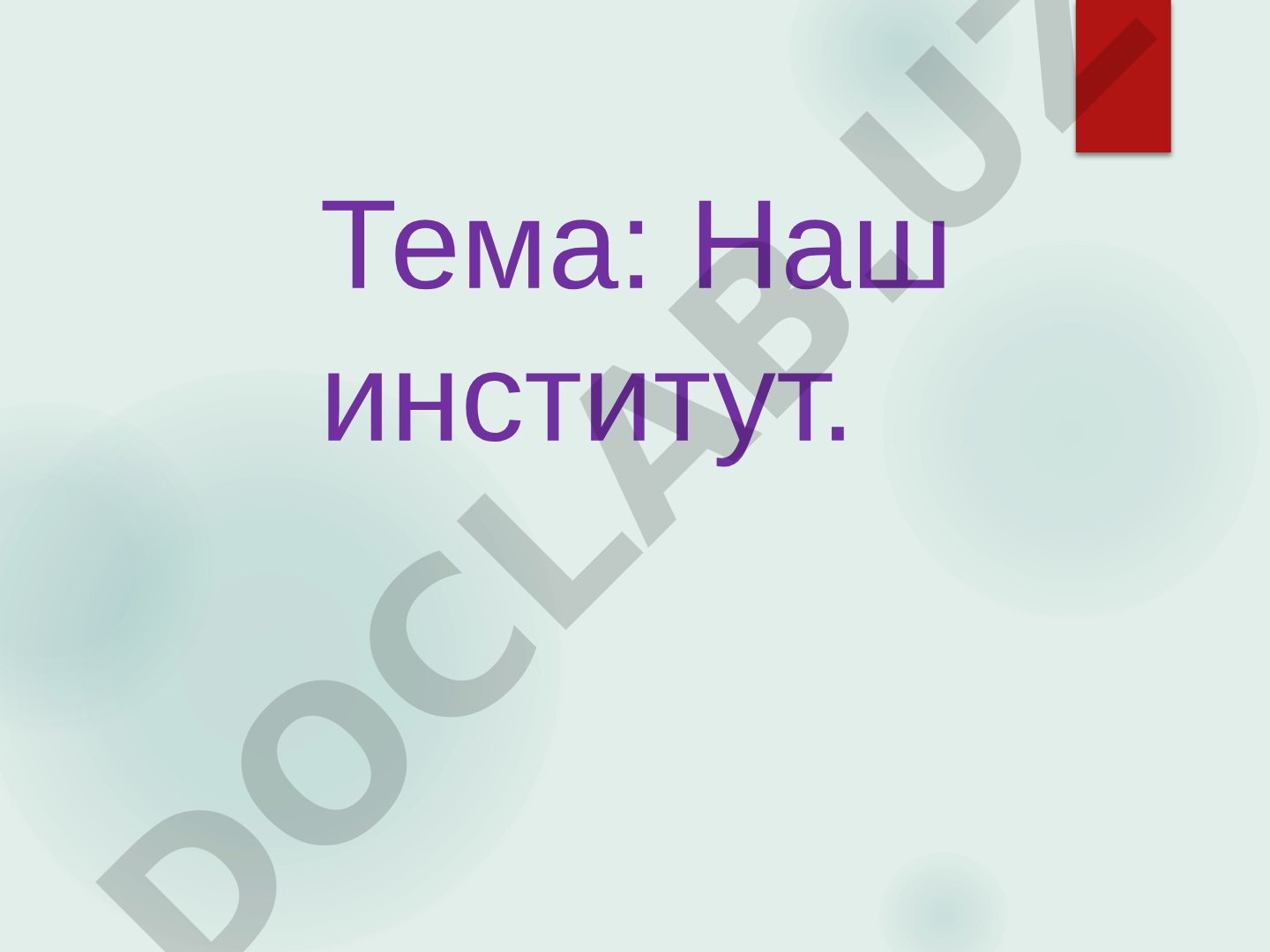 Наш институт