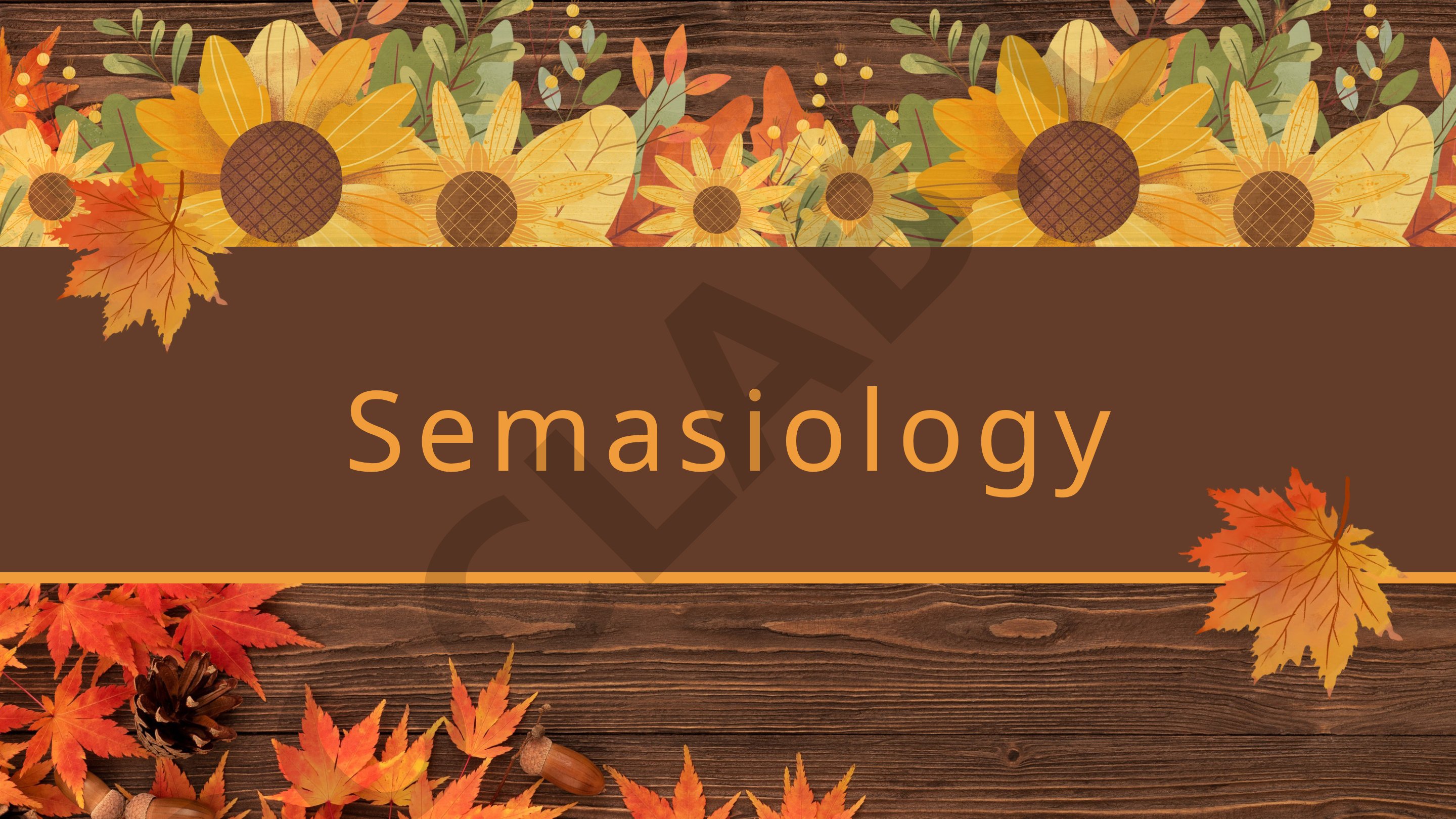 Semasiology is a branch of linguistics; covers referential approach, polysemy, semantic