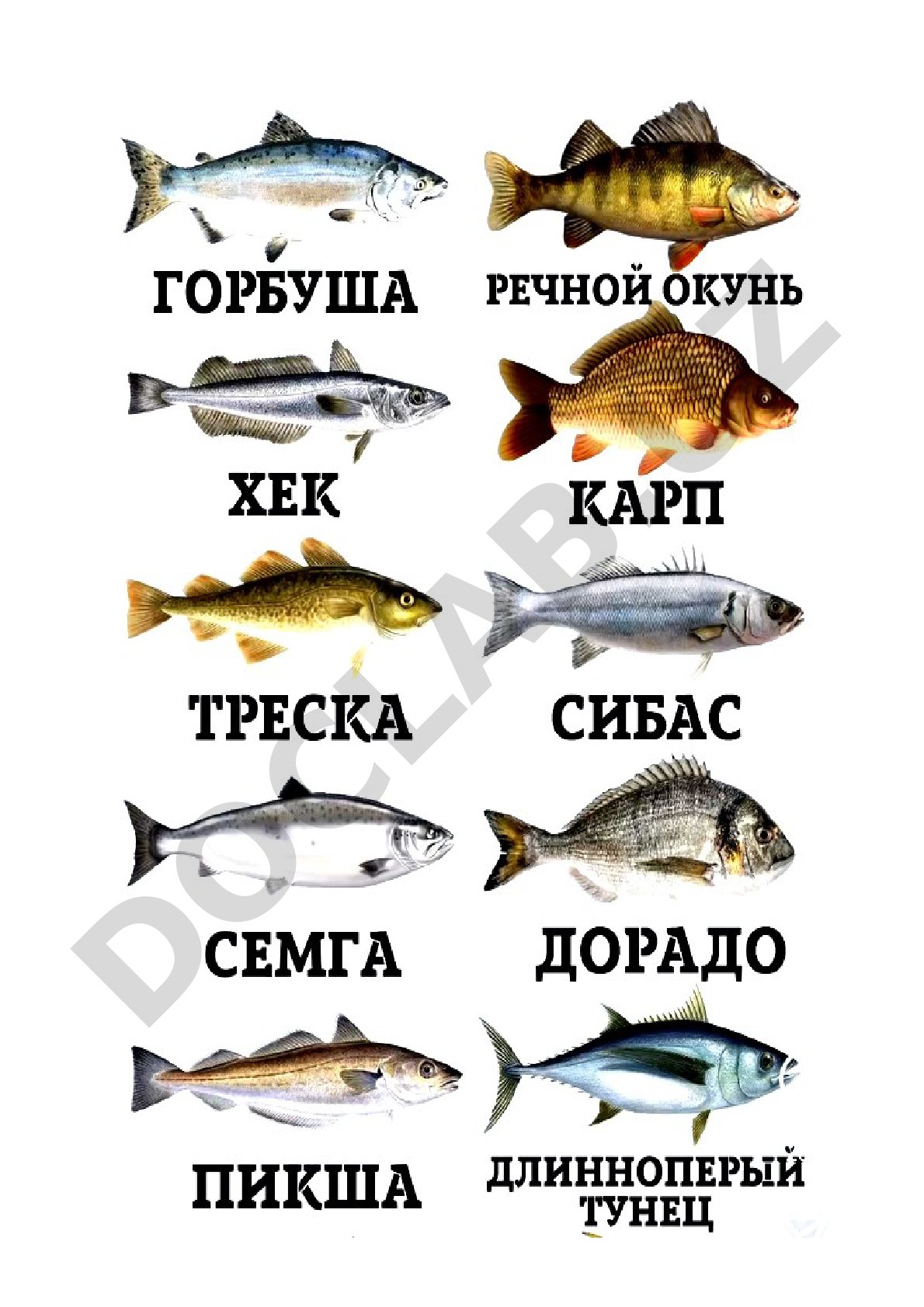 Rasm tarkibidagi ma'lumot