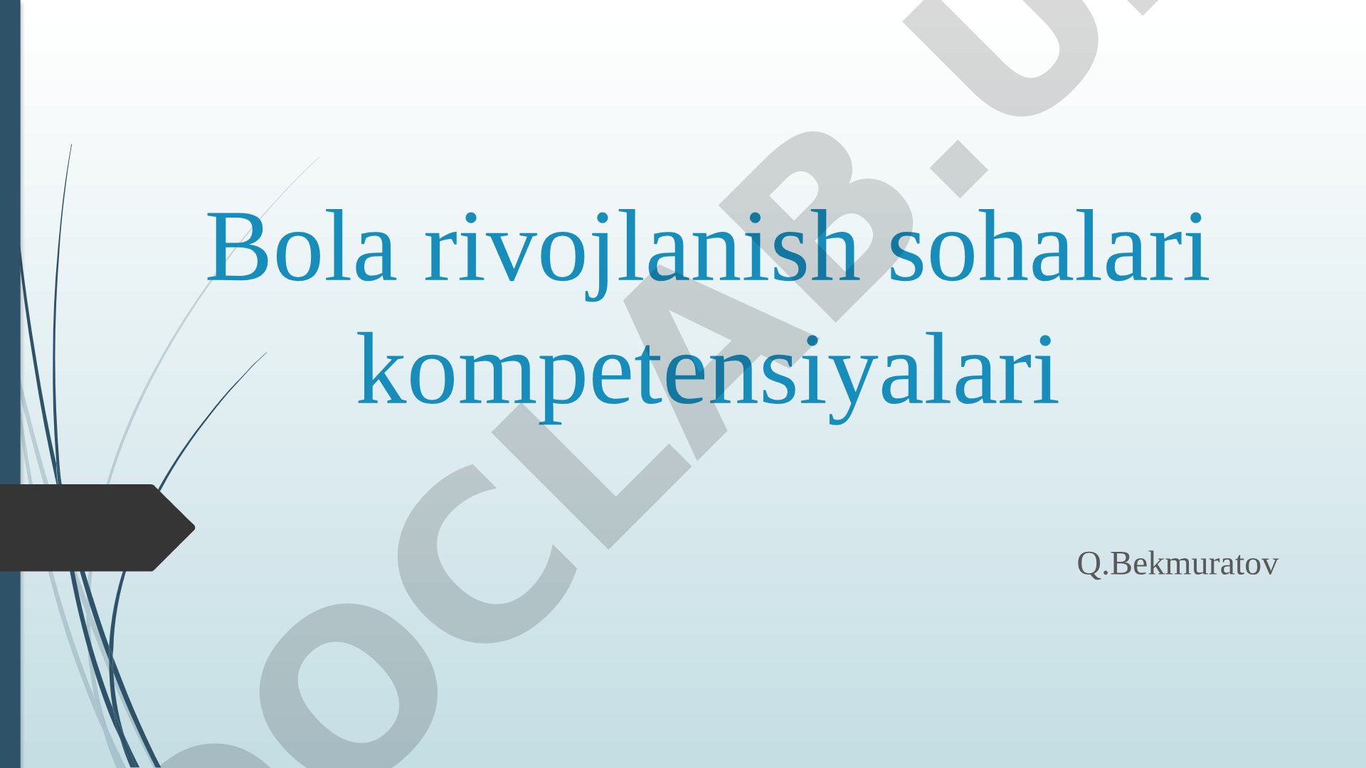 Bola rivojlanish sohalari kompetensiyalari