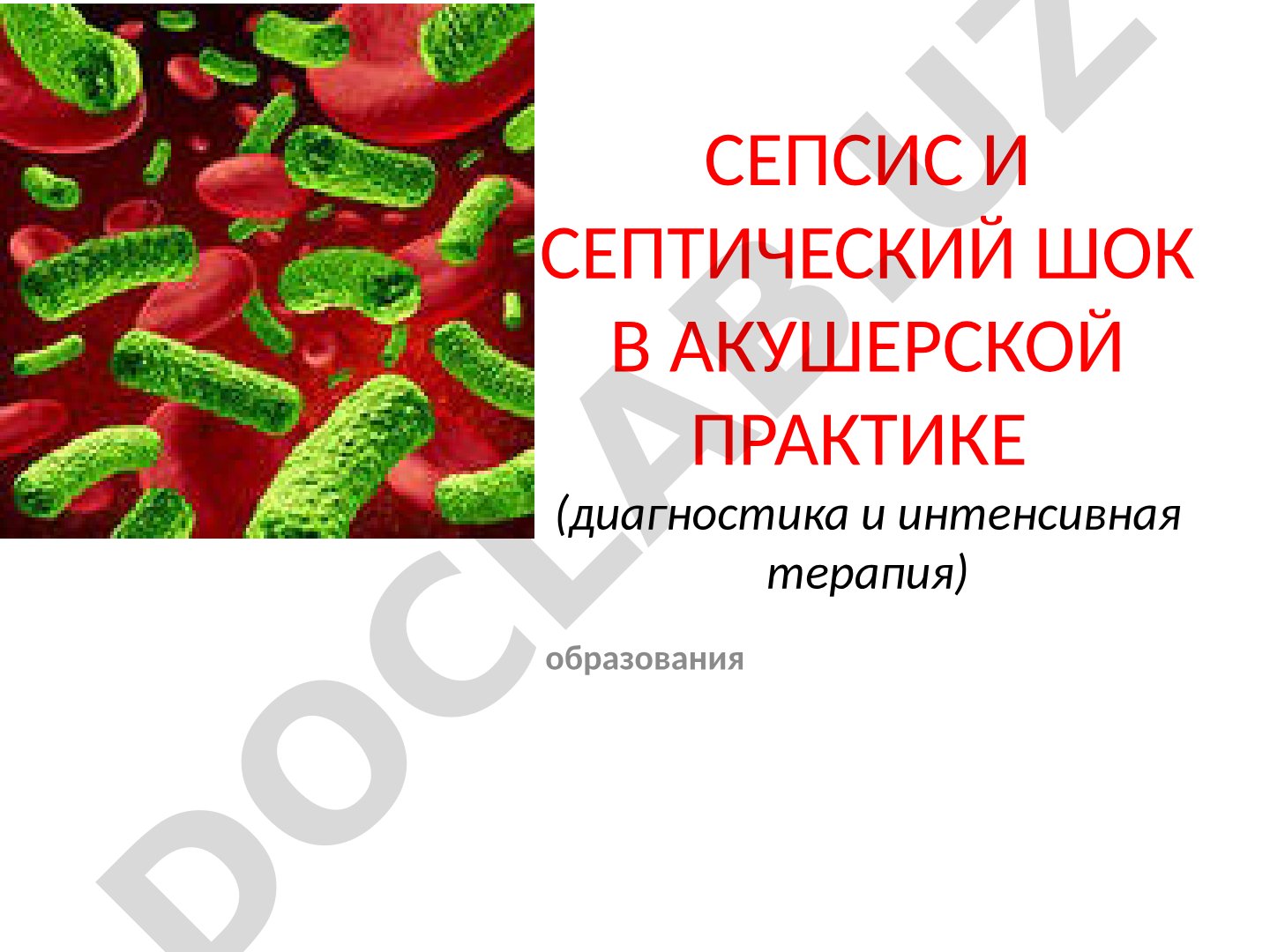 Сепсис и септический шок в акушерской практике (диагностика и интенсивная терапия)