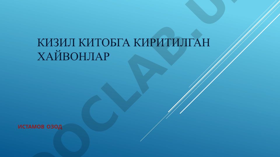 Кизил китобга киритилган хайвонлар: Туранский тигр