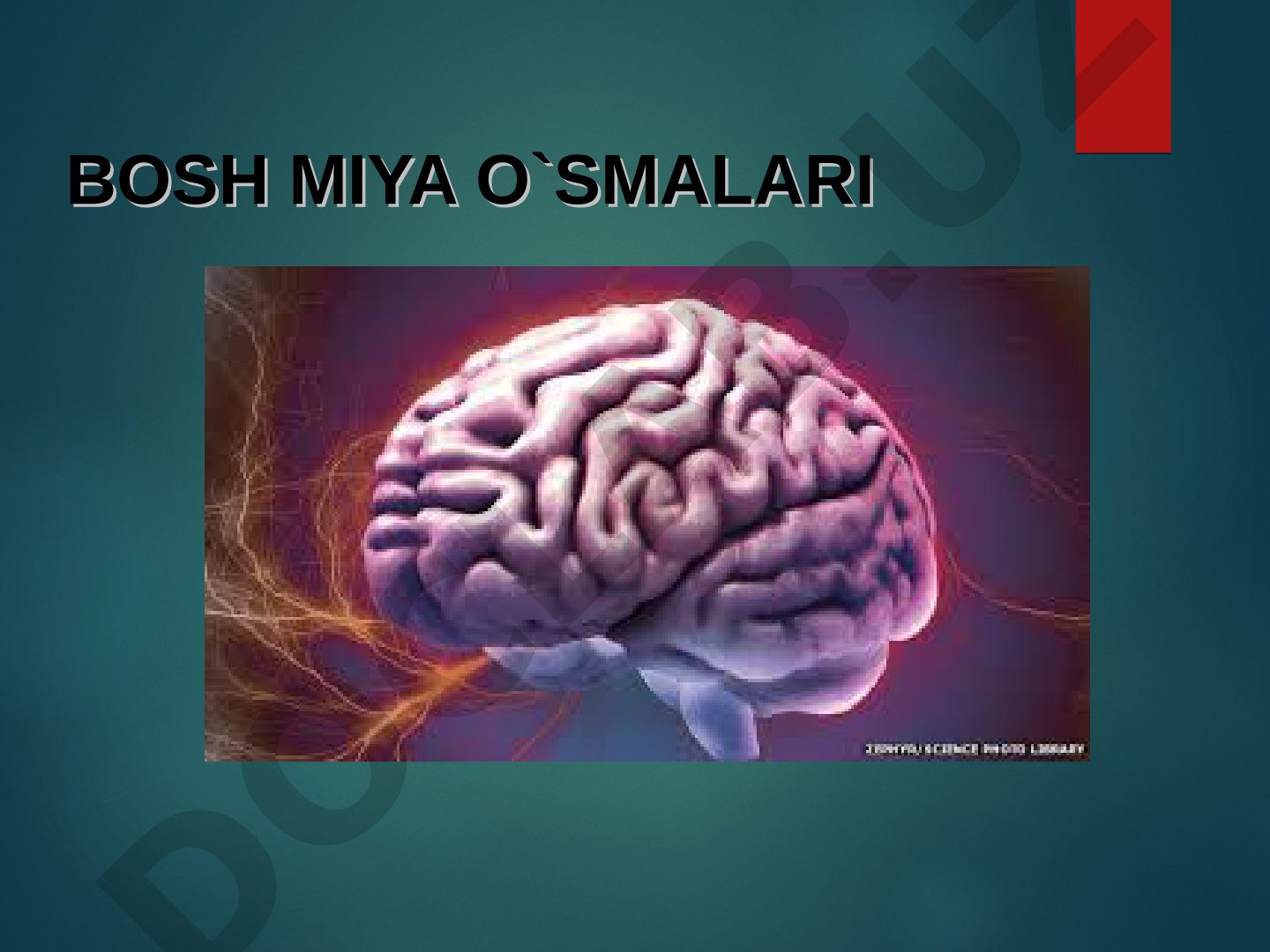 Bosh miya o`smalari statistika