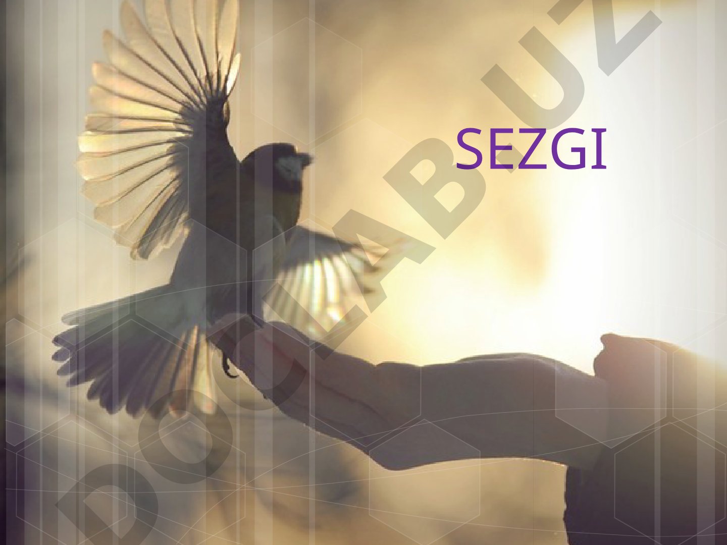 Sezgi tushunchasi va uning ahamiyati
