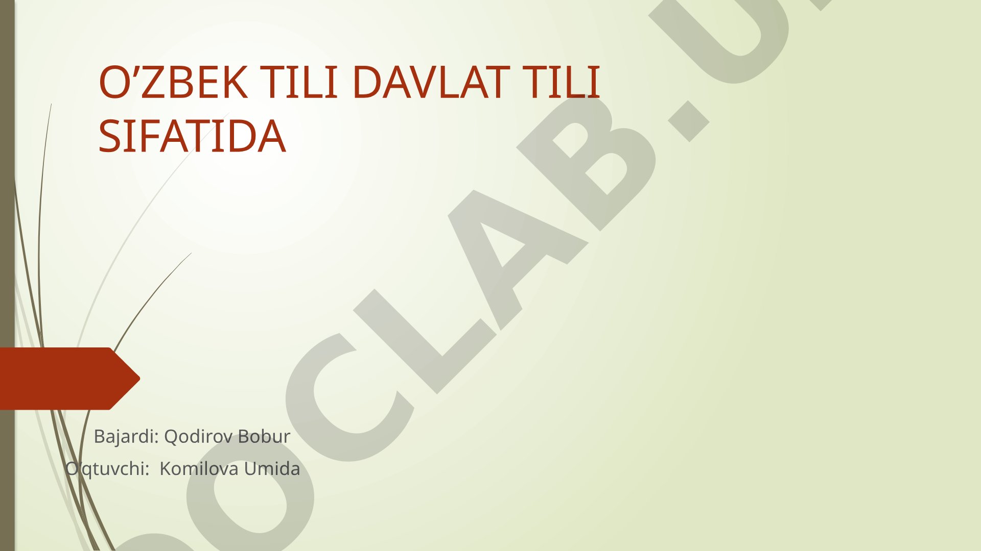 O’zbek tili davlat tili sifatida