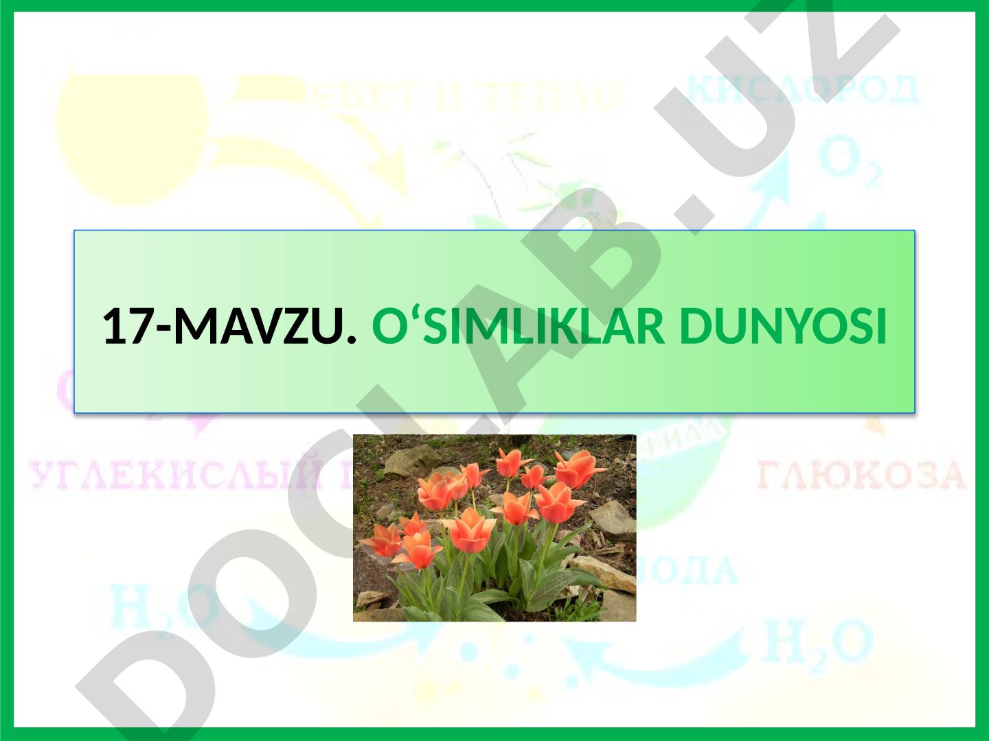 O'simliklar dunyosi