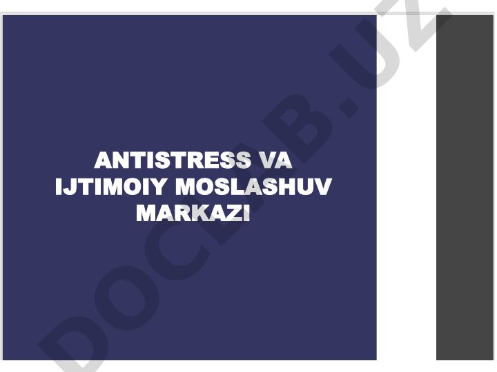 Antistress va ijtimoiy moslashuv markazi uchun jihozlar va manzarali buyumlar xarajatlari