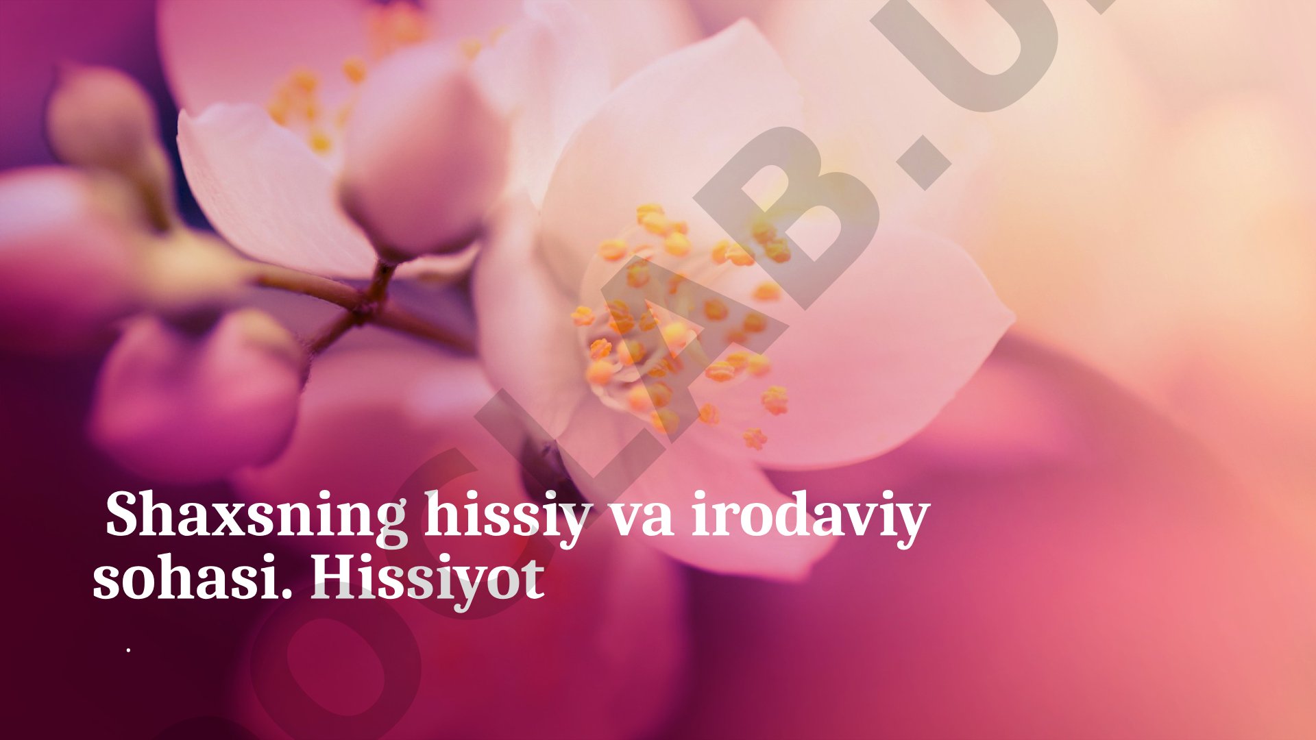 Shaxsning hissiy va irodaviy sohasi. Hissiyot