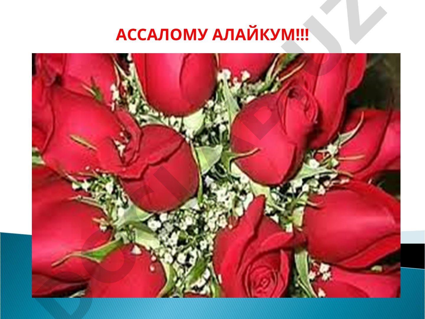 Психофизиология фанининг предмети ва қисқача тарихи