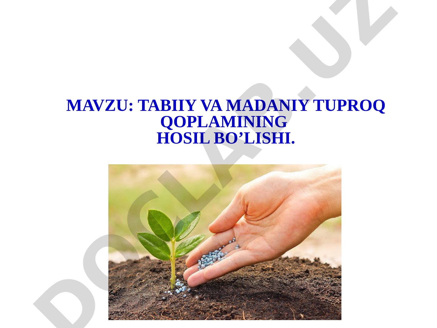 Tabiiy va madaniy tuproq qoplamining hosil bo’lishi