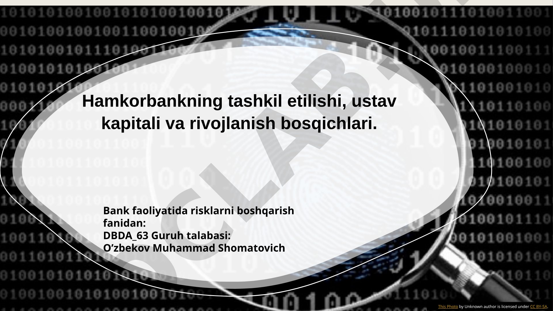 Hamkorbankning tashkil etilishi, ustav kapitali va rivojlanish bosqichlari