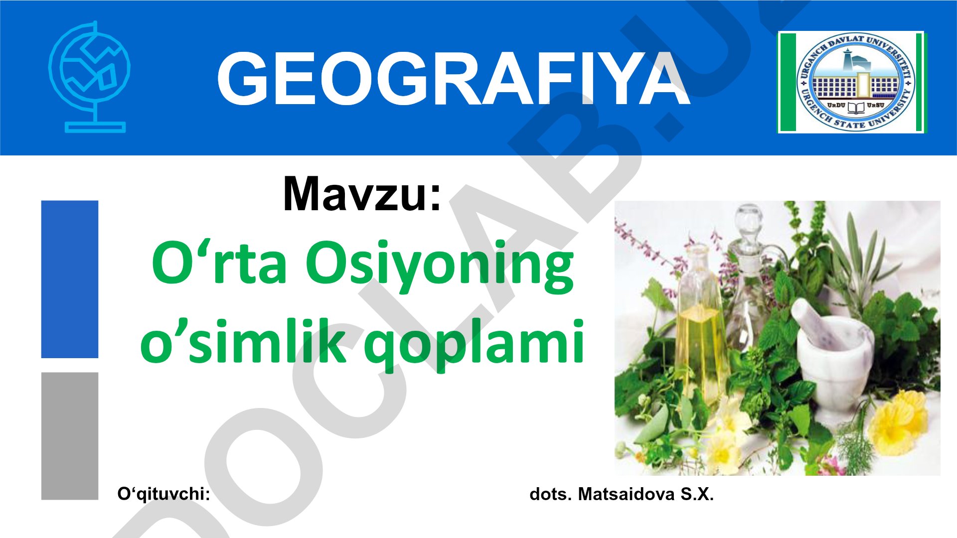 O‘rta Osiyoning o’simlik qoplami