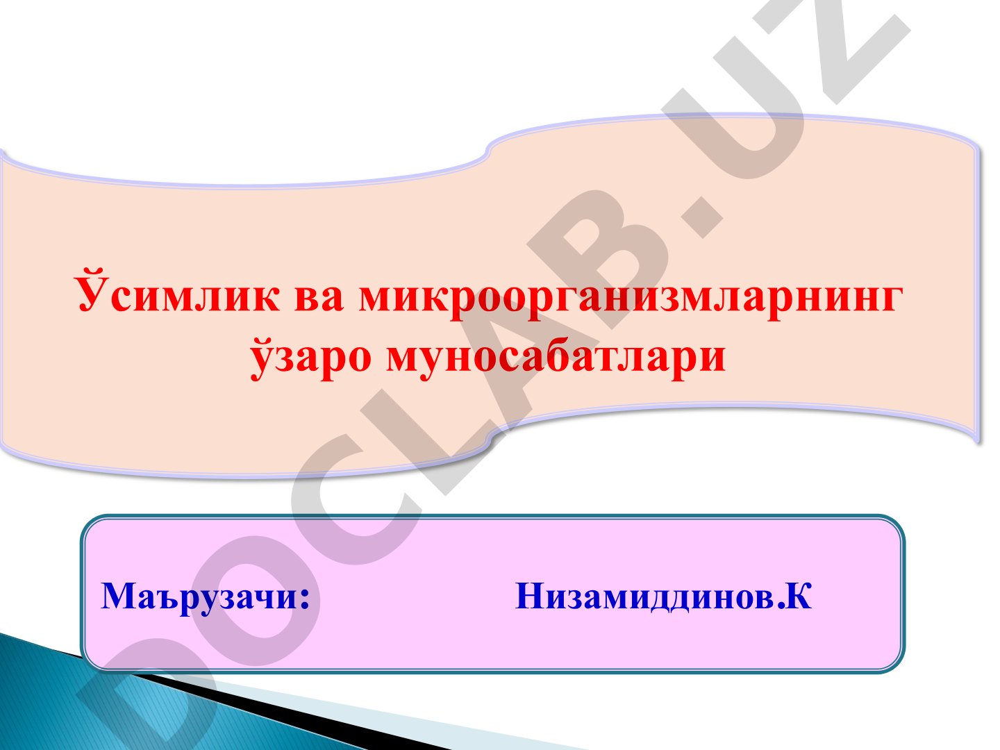 Ўсимлик ва микроорганизмларнинг ўзаро муносабатлари