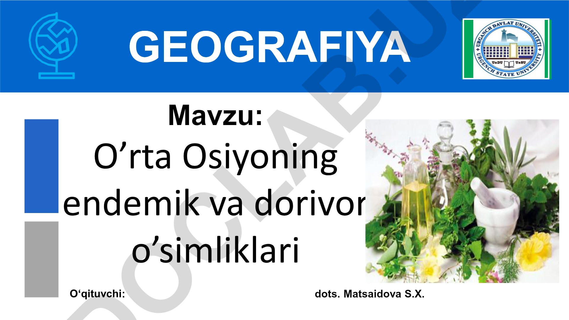 O’rta Osiyoning endemik va dorivor o’simliklari