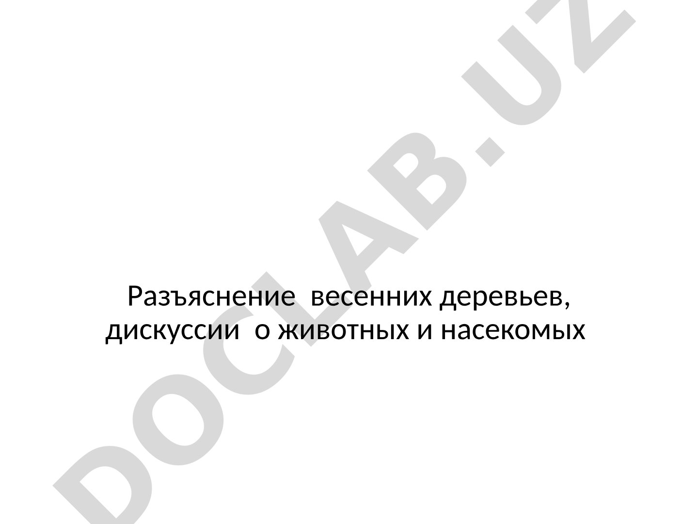 Разъяснение весенних деревьев, дискуссии о животных и насекомых