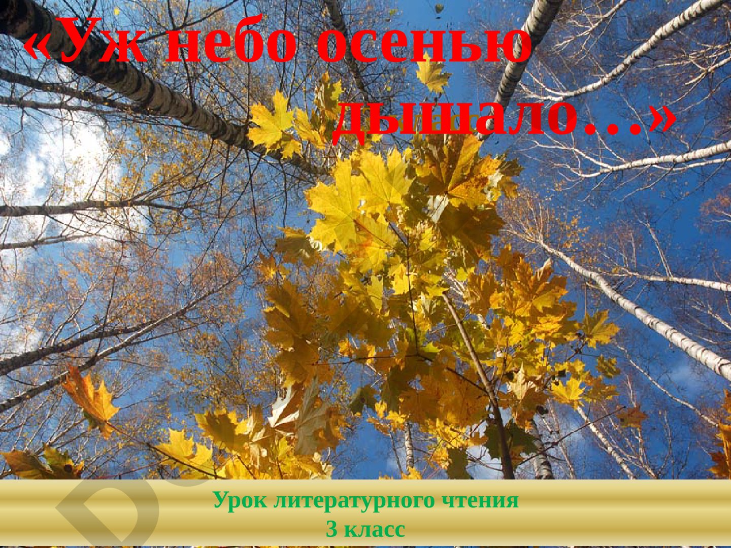 Уж небо осенью дышало… Урок литературного чтения 3 класс