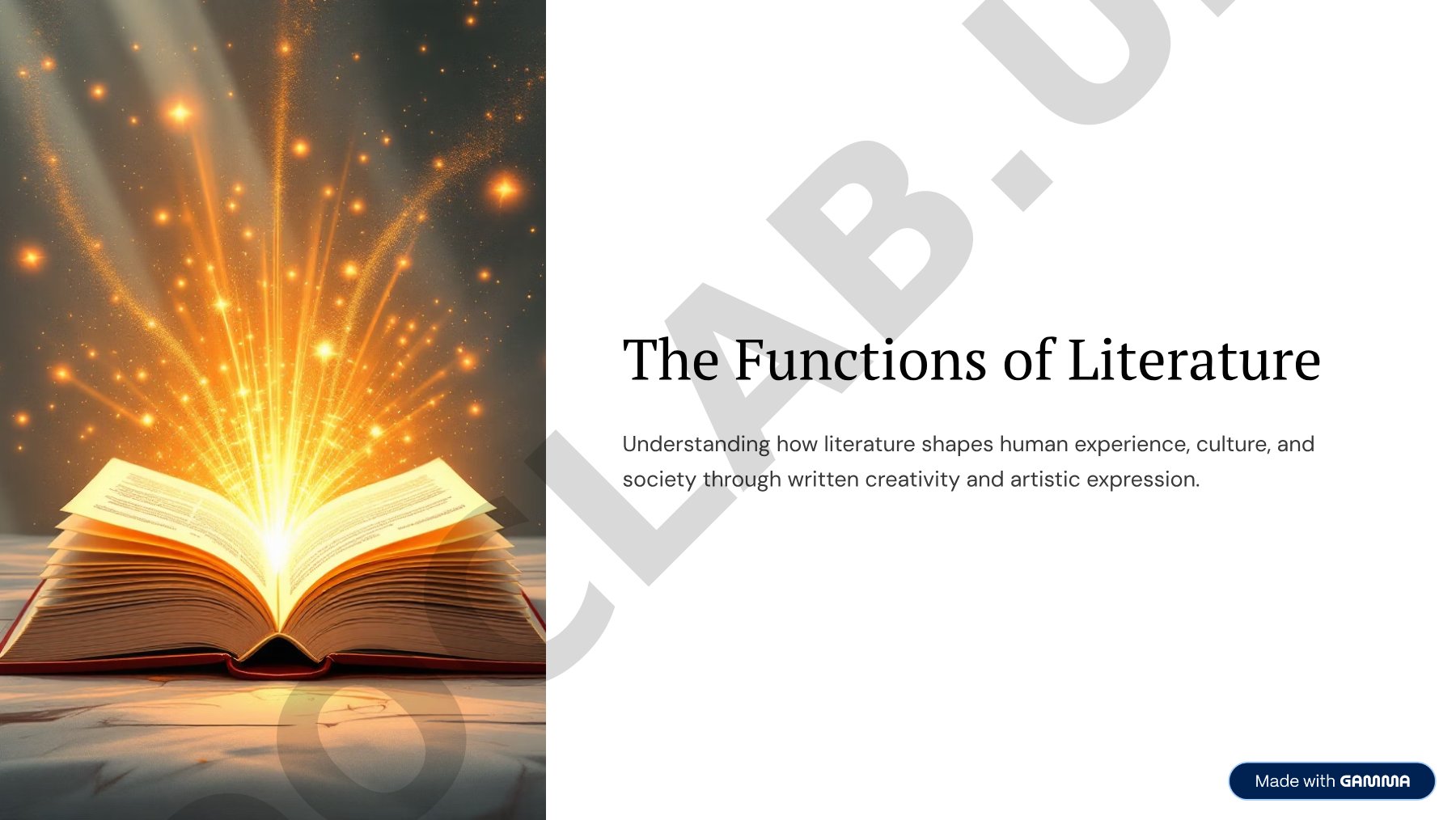 The Functions of Literature
