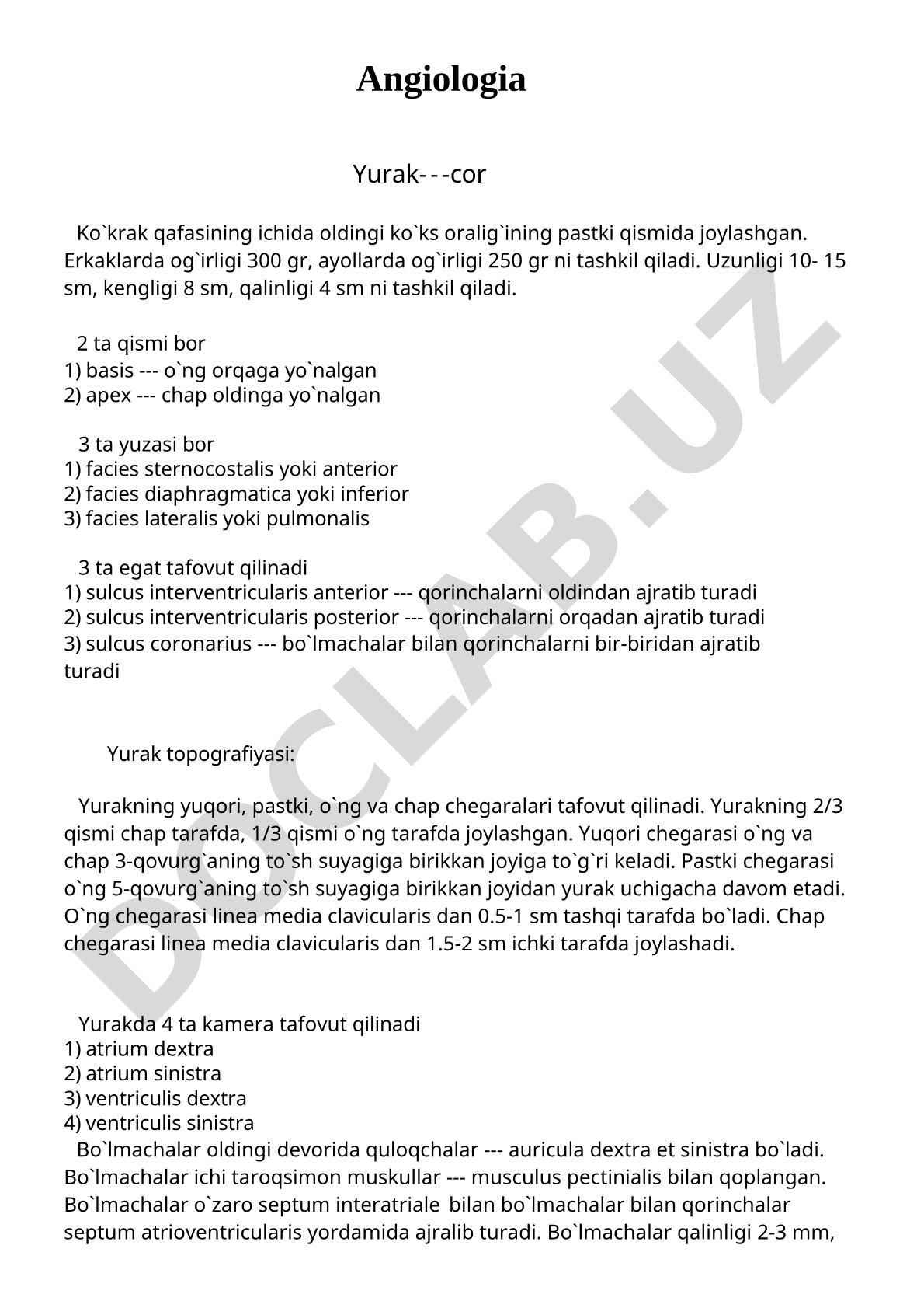Yurakning tuzilishi, qismlari, yuzalari, egatlari va chegaralari haqida anatomik ma'lumot