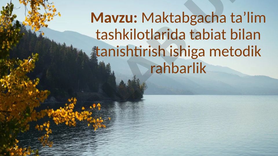 Maktabgacha ta’lim tashkilotlarida tabiat bilan tanishtirish ishiga metodik rahbarlik
