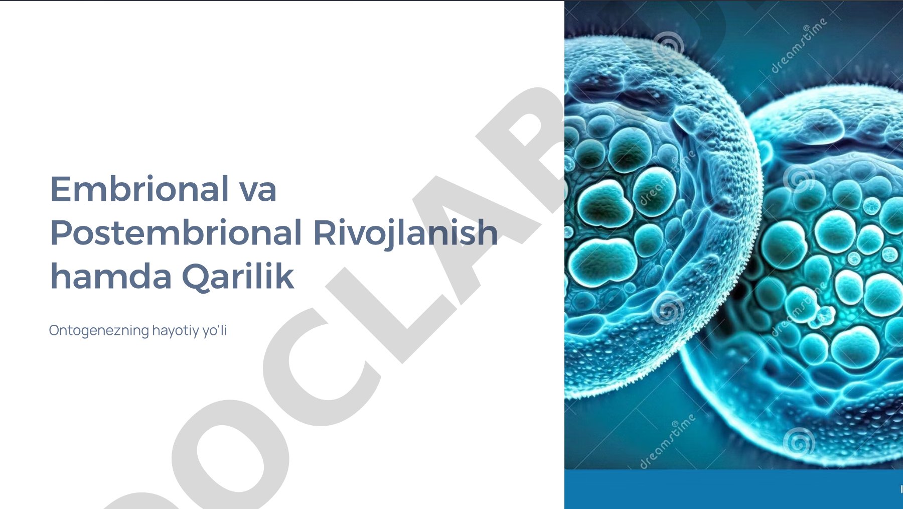 Embrional va Postembrional Rivojlanish hamda Qarilik