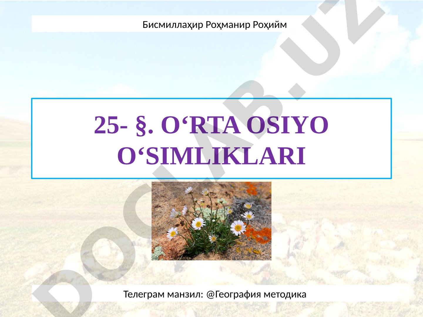 O‘RTA OSIYO O‘SIMLIKLARI