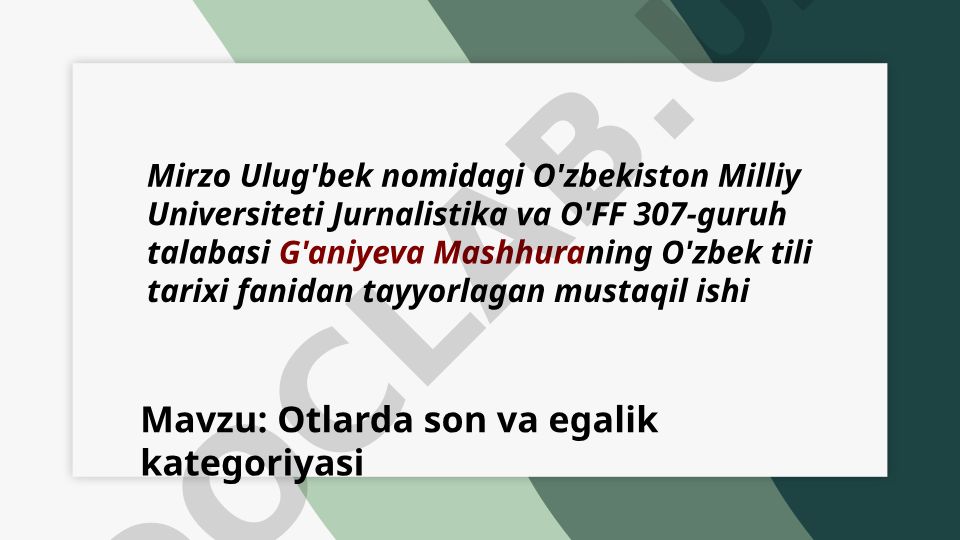 Otlarda son va egalik kategoriyasi