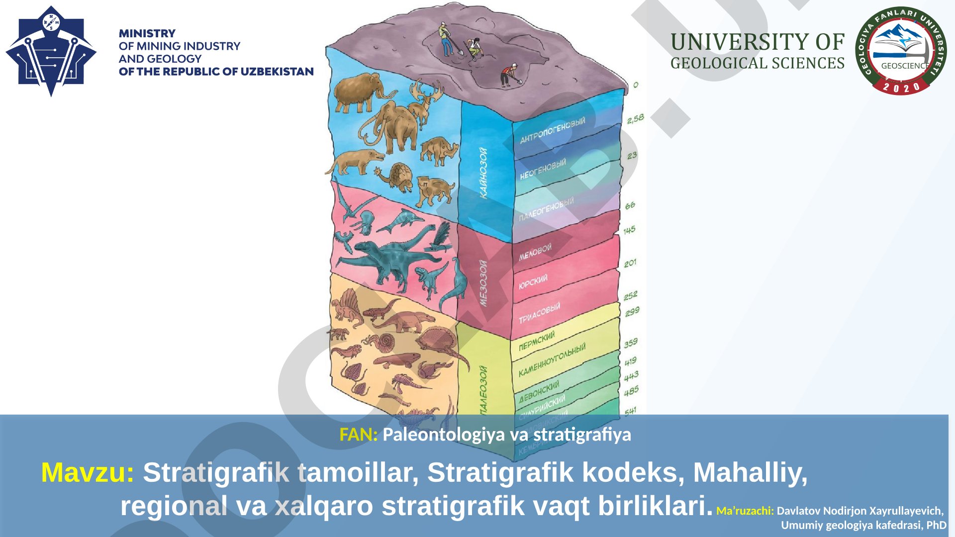 Stratigrafik tamoyillar, Stratigrafik kodeks, Mahalliy, regional va xalqaro stratigrafik vaqt birliklari