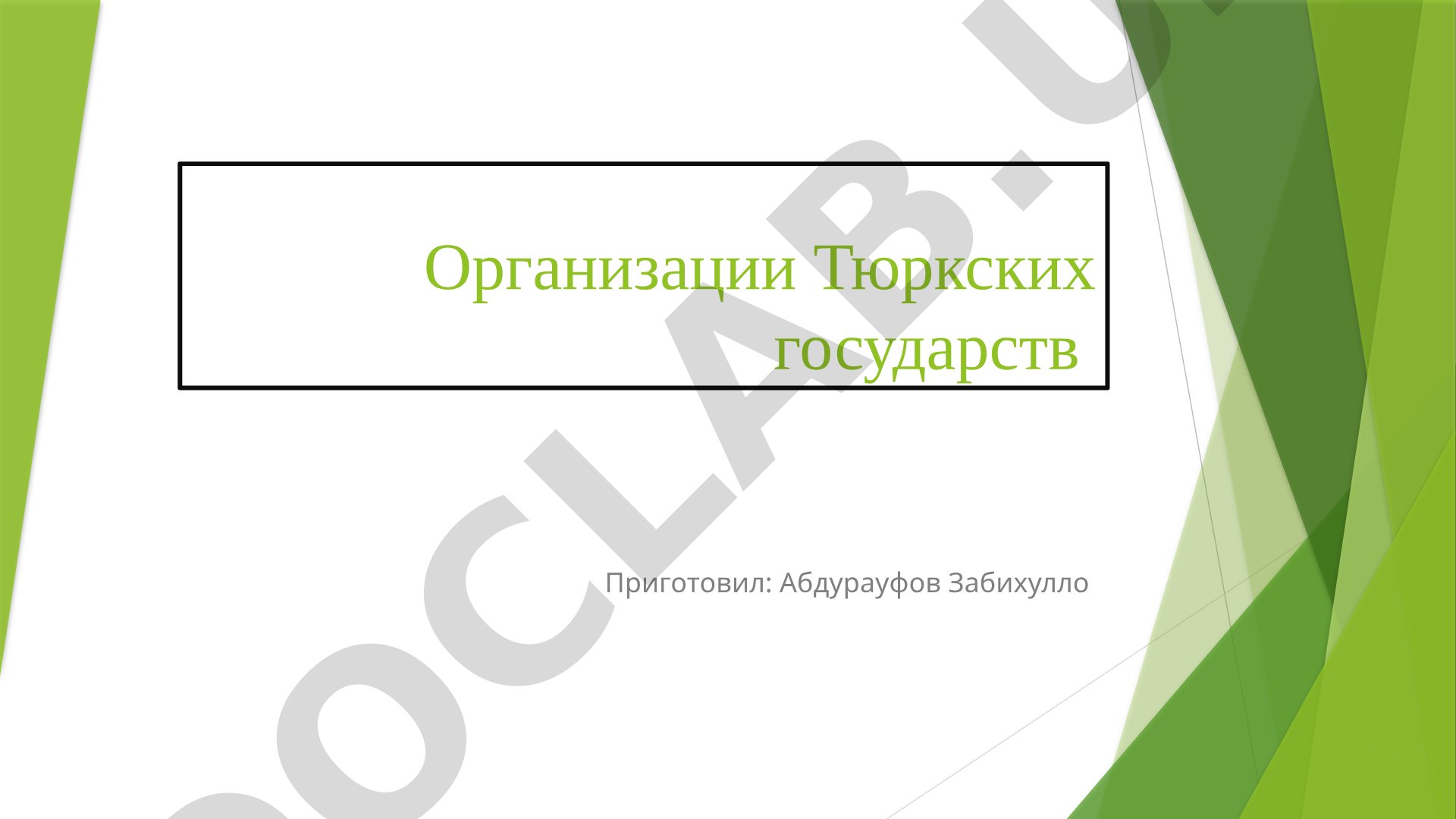 Организации Тюркских государств