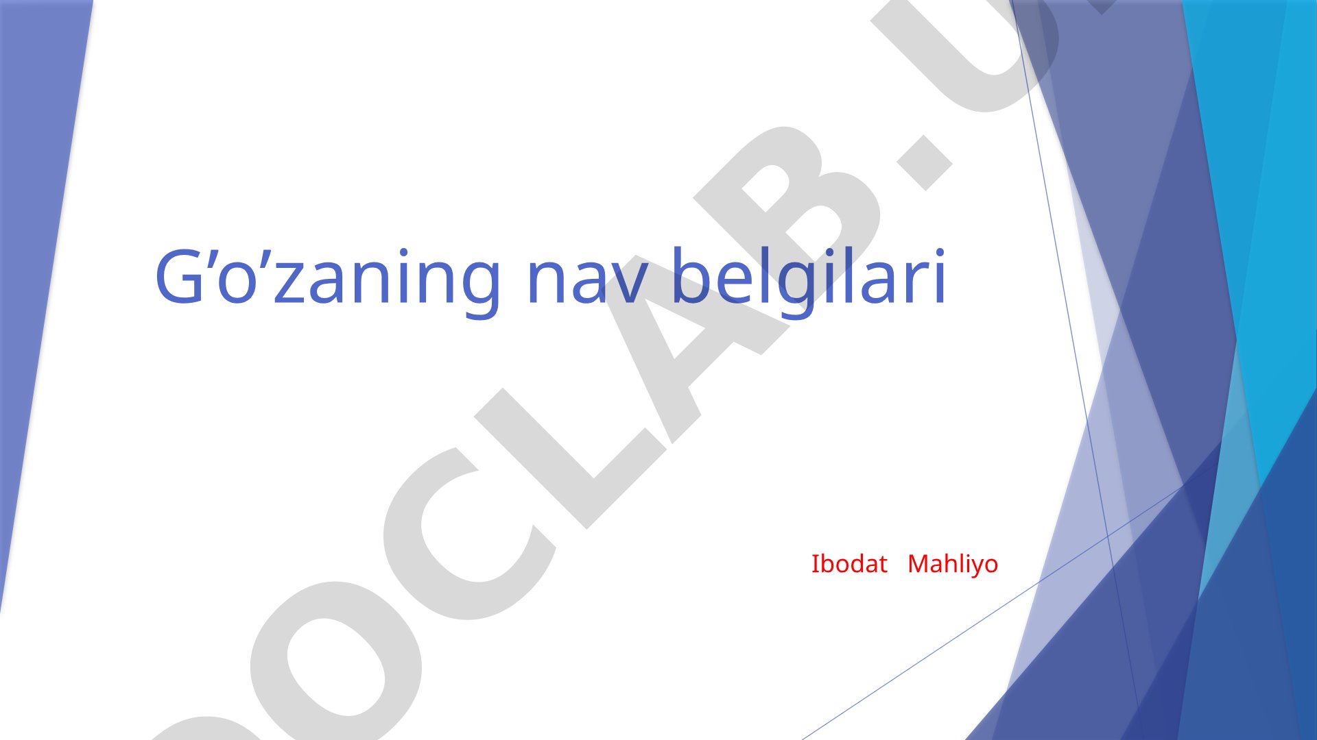 G'o'zaning nav belgilari